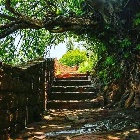 Le Petit Jardin Acomodação com café da manhã Demnat Exterior foto